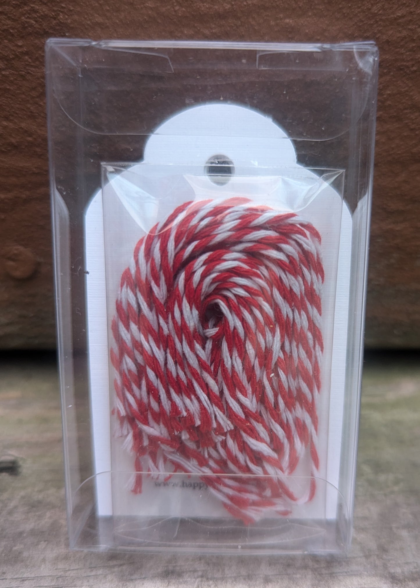 Christmas Cactus Gift Tags