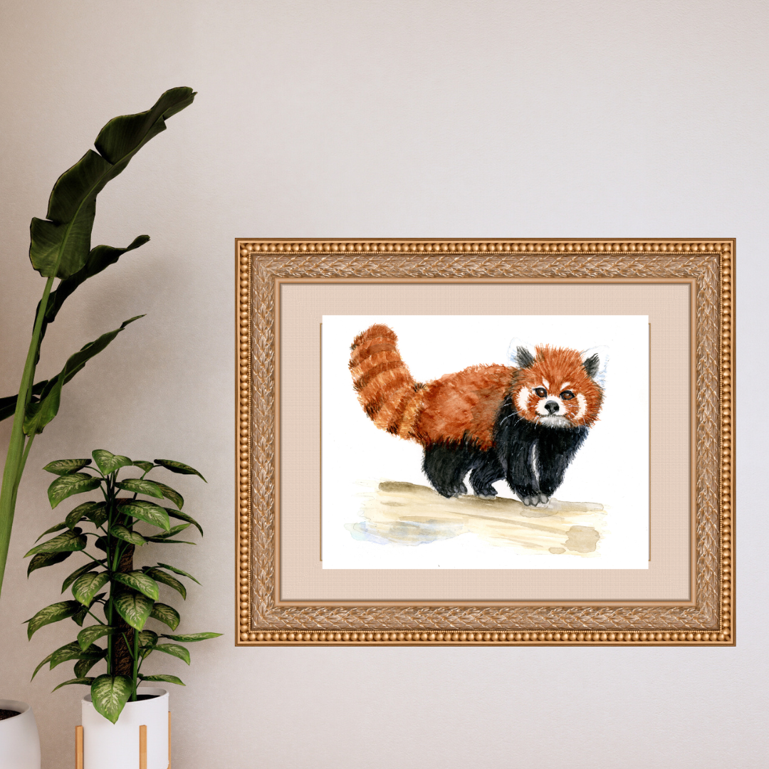 Red Panda Print