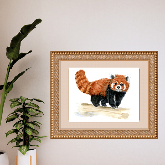 Red Panda Print