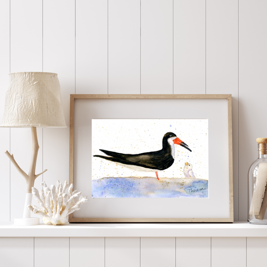 Black Skimmer Art Print