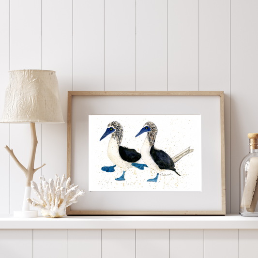 Blue-Footed Boobies Print