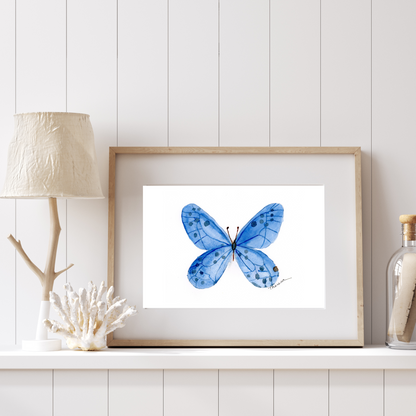 Butterfly Blue Print