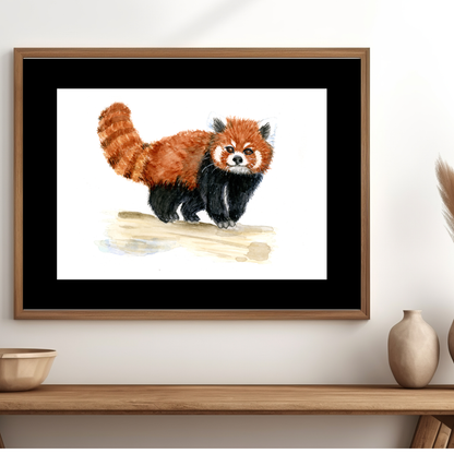 Red Panda Print