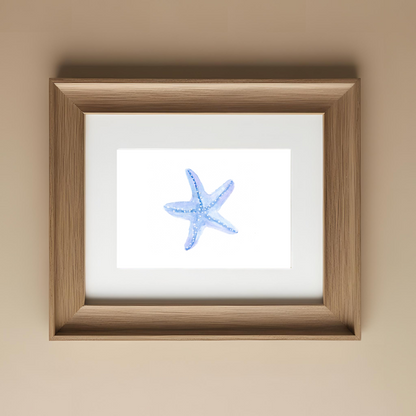 Starfish Blue Print