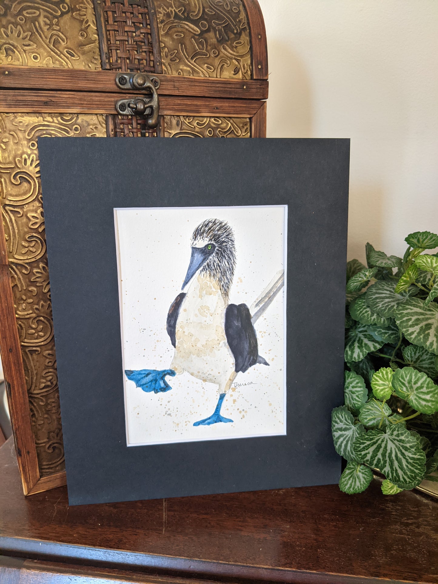 Blue-footed Booby Print