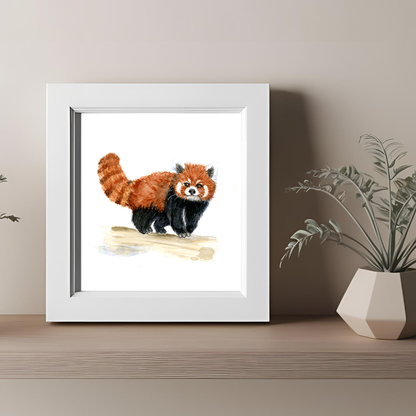 Red Panda Print